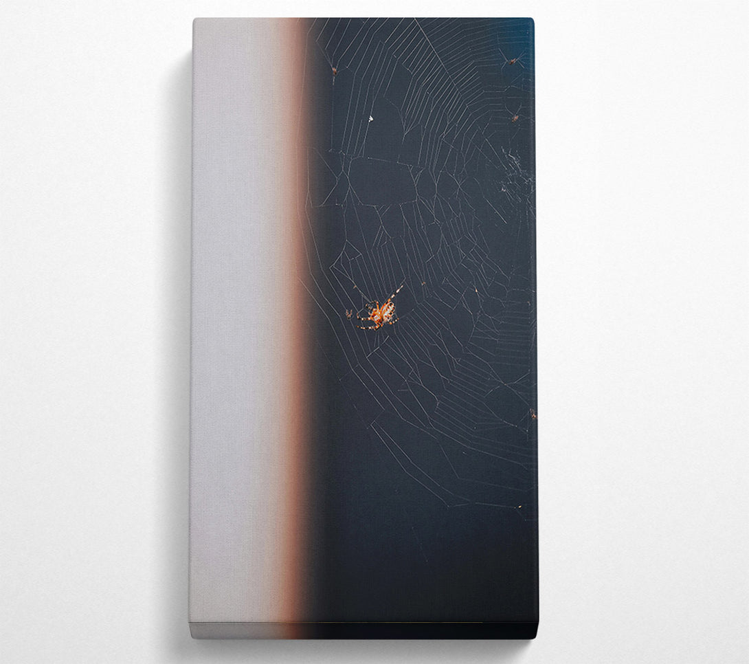  A Canvas Print of Black Web Weaver Canvas Wall Art