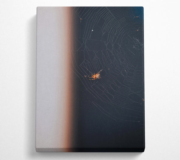  A Canvas Print of Black Web Weaver Canvas Wall Art