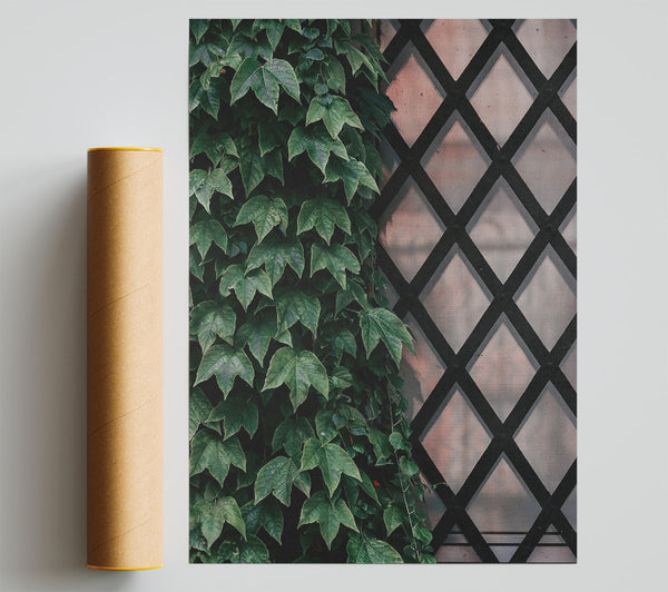 Emerald Latticework Poster