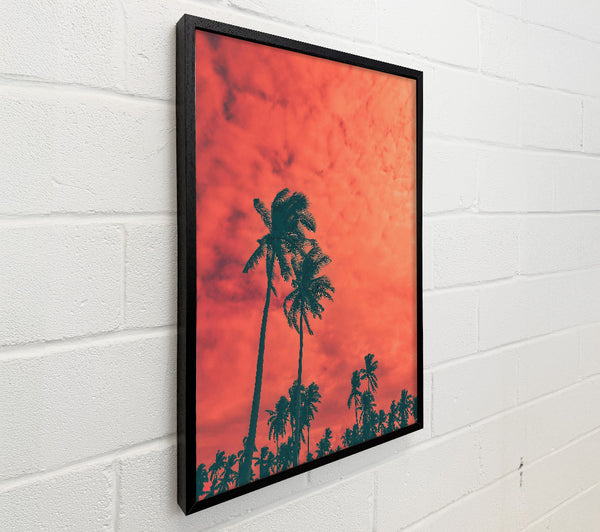 Coral Palm Dreams