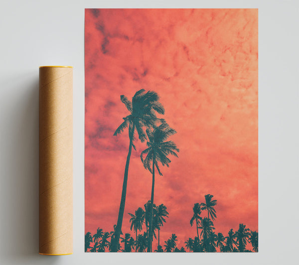 Coral Palm Dreams Giclee Print