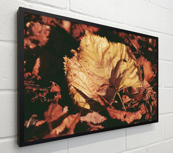 Golden Leaf Among Reds