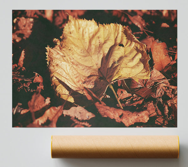 Golden Leaf Among Reds Print