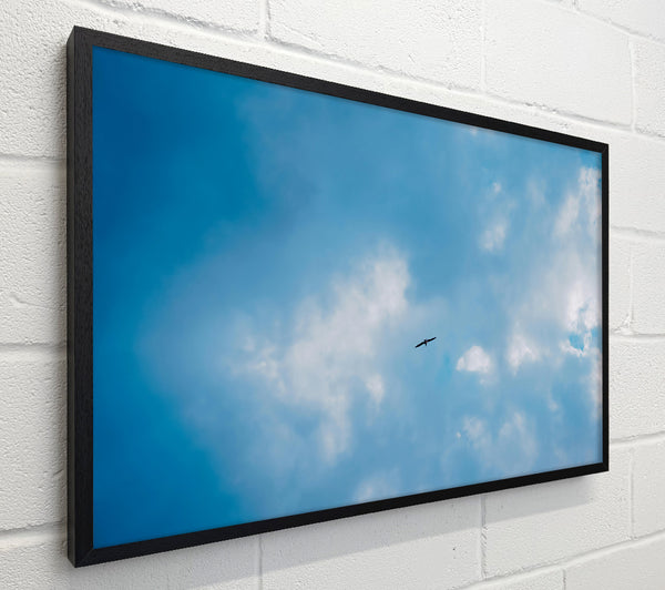 Blue Skies Soaring Bird