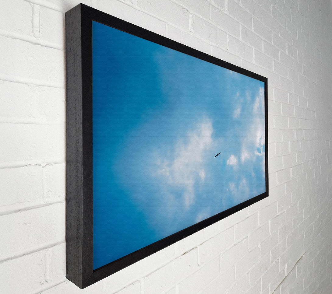 A Canvas Print of Blue Skies Soaring Bird Canvas Art