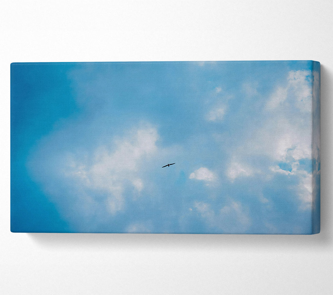  A Canvas Print of Blue Skies Soaring Bird Canvas Art