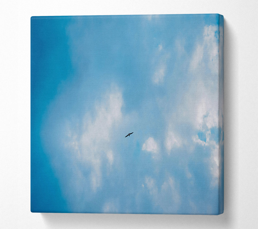  A Canvas Print of Blue Skies Soaring Bird Canvas Art