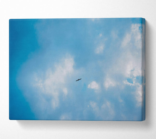  A Canvas Print of Blue Skies Soaring Bird Canvas Art