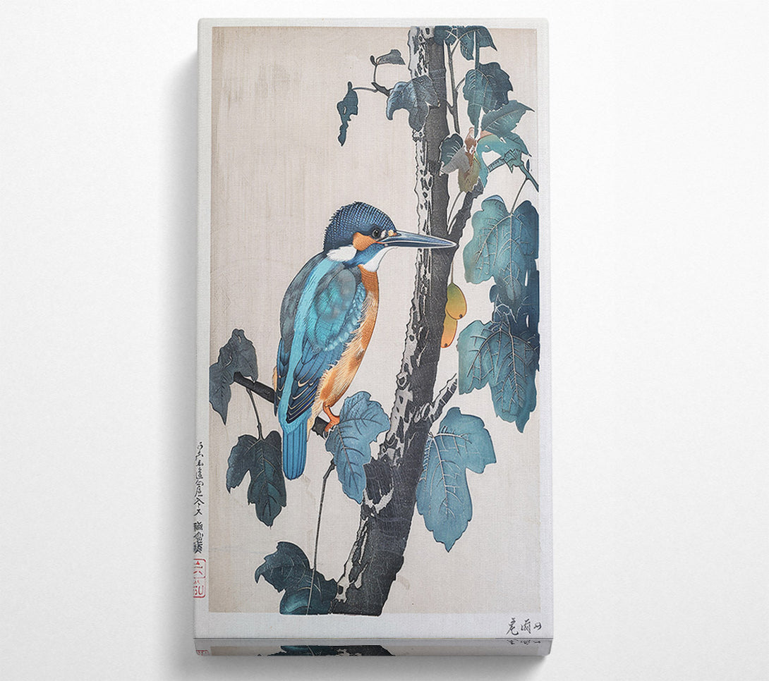  A Canvas Print of Azure Kingfisher Perched Canvas Art