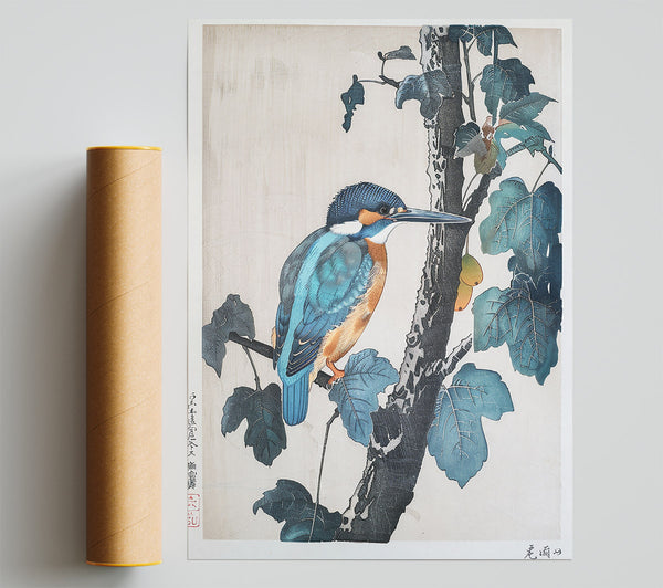 Azure Kingfisher Perched Poster