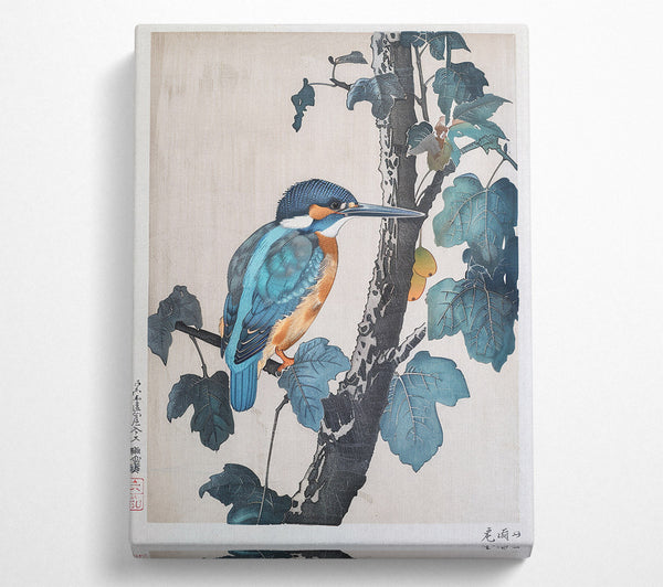  A Canvas Print of Azure Kingfisher Perched Canvas Art