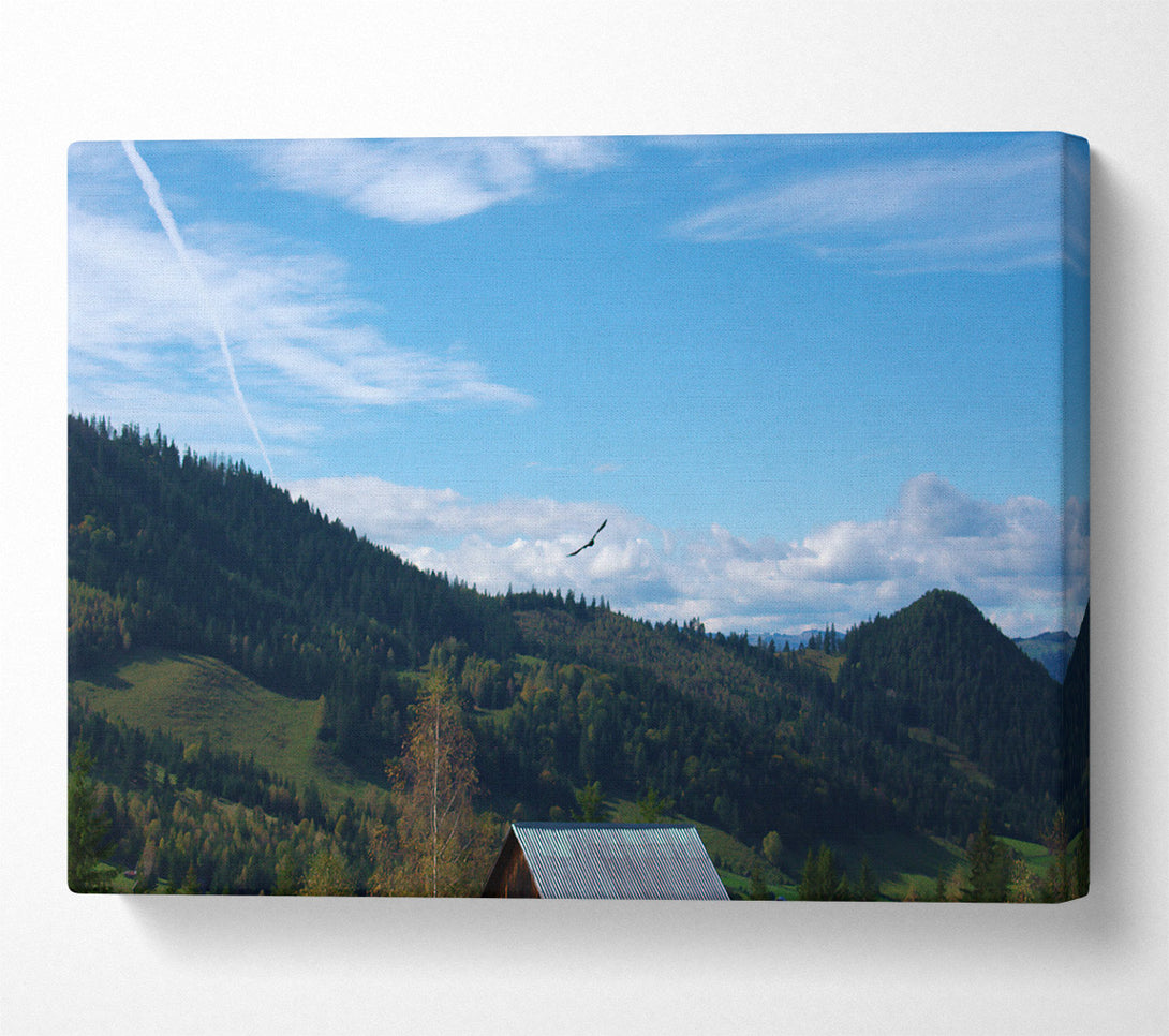  A Canvas Print of Blue Sky Soaring Canvas Wall Art