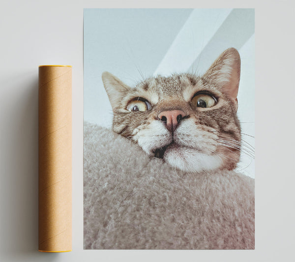Grey Cat Surprise Print