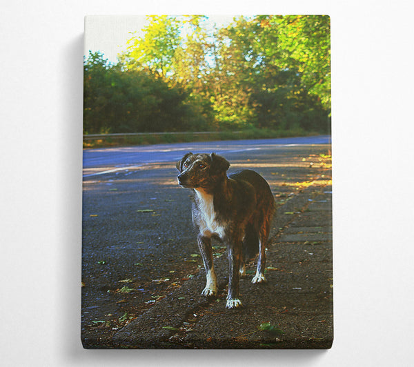  A Canvas Print of Grey Dog On Roadside Canvas Art