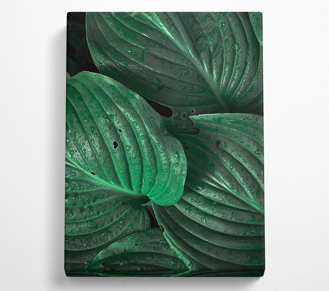  A Canvas Print of Emerald Green Veins Canvas Art