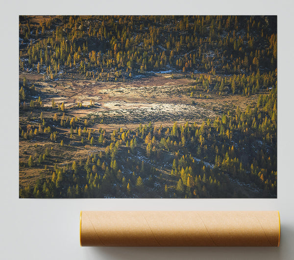 Golden Forest Valley Poster