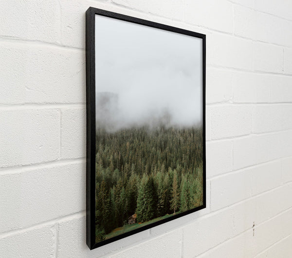 Green Cabin In Fog
