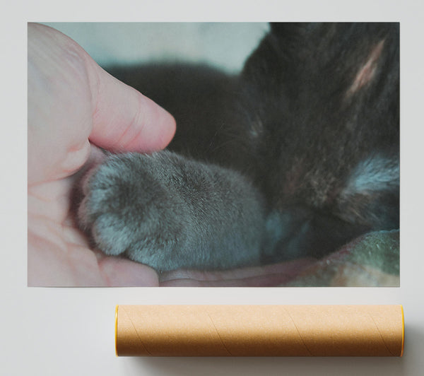 Gray Paw Trust Giclee Print