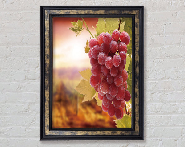 Bunch Of Grapes Framed Print