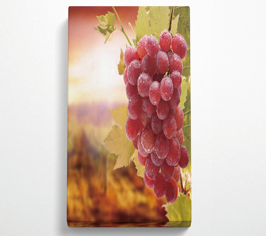  A Canvas Print of Bunch Of Grapes Canvas Wall Art