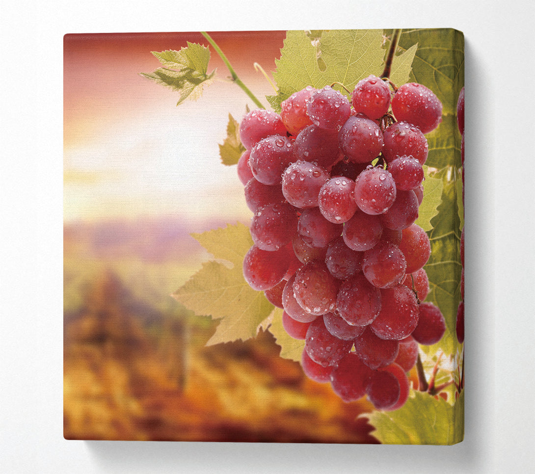  A Canvas Print of Bunch Of Grapes Canvas Wall Art