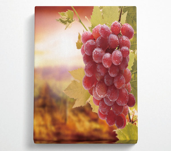  A Canvas Print of Bunch Of Grapes Canvas Wall Art