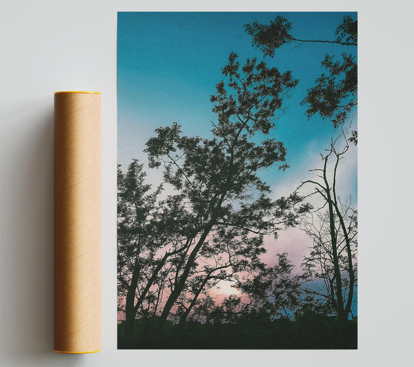 Blue Sky Silhouettes Giclee Print