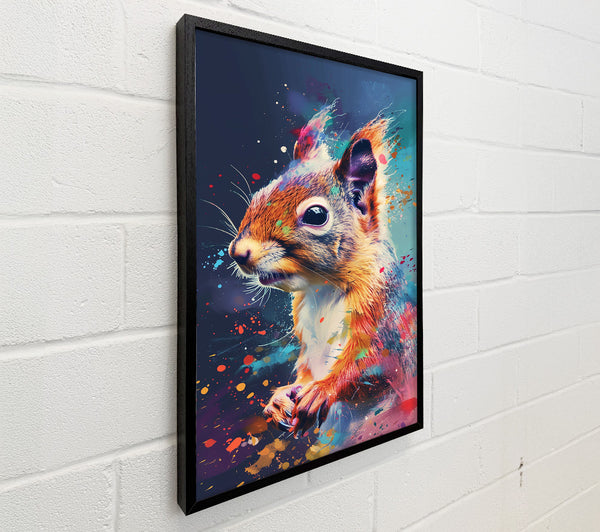 Orange Squirrel Splash