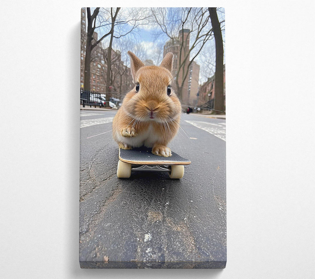  A Canvas Print of Bunny Skateboard Canvas Print