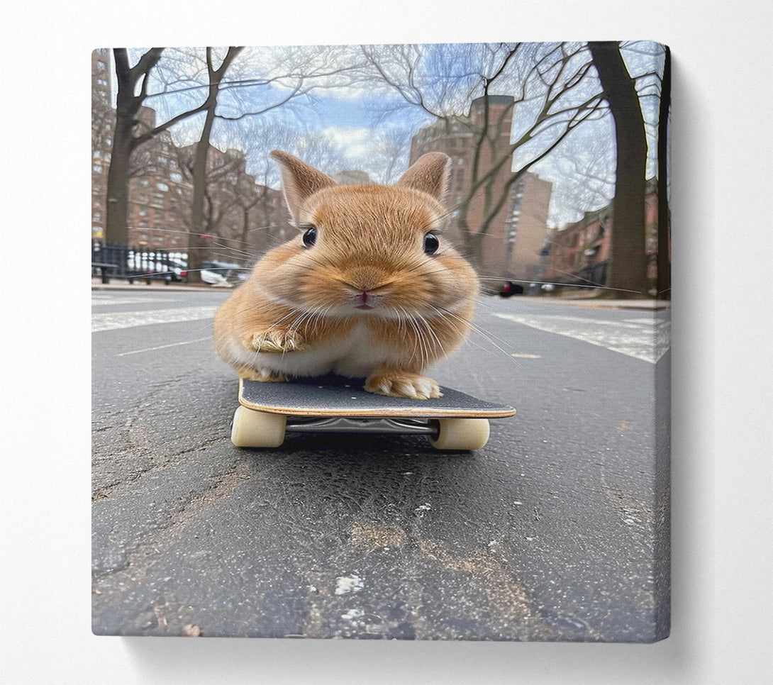  A Canvas Print of Bunny Skateboard Canvas Print