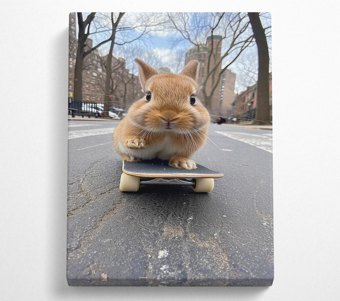  A Canvas Print of Bunny Skateboard Canvas Print
