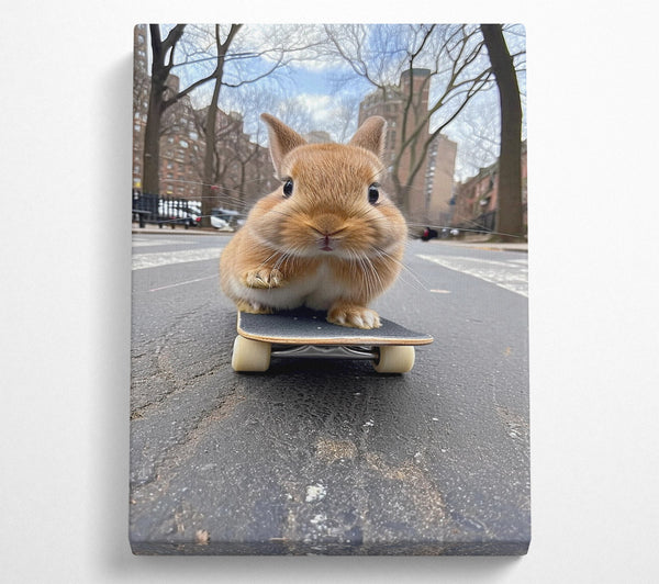  A Canvas Print of Bunny Skateboard Canvas Print