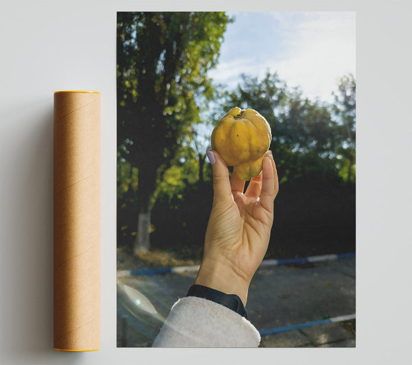 Golden Quince Glow Giclee Print