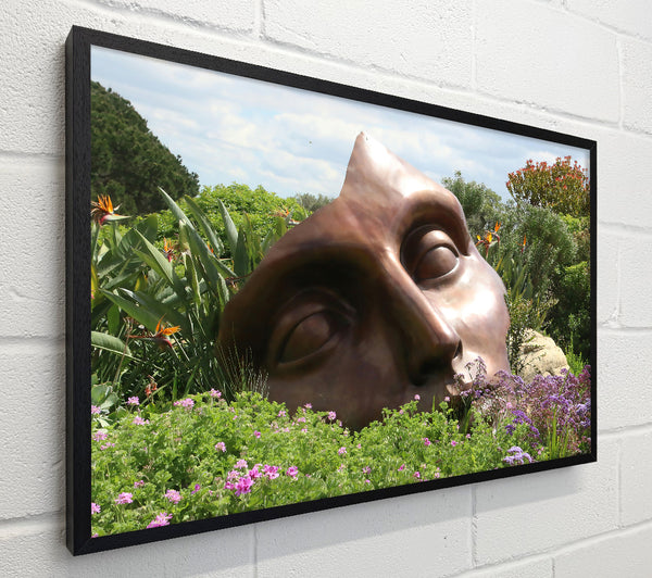 Bronze Dream Face