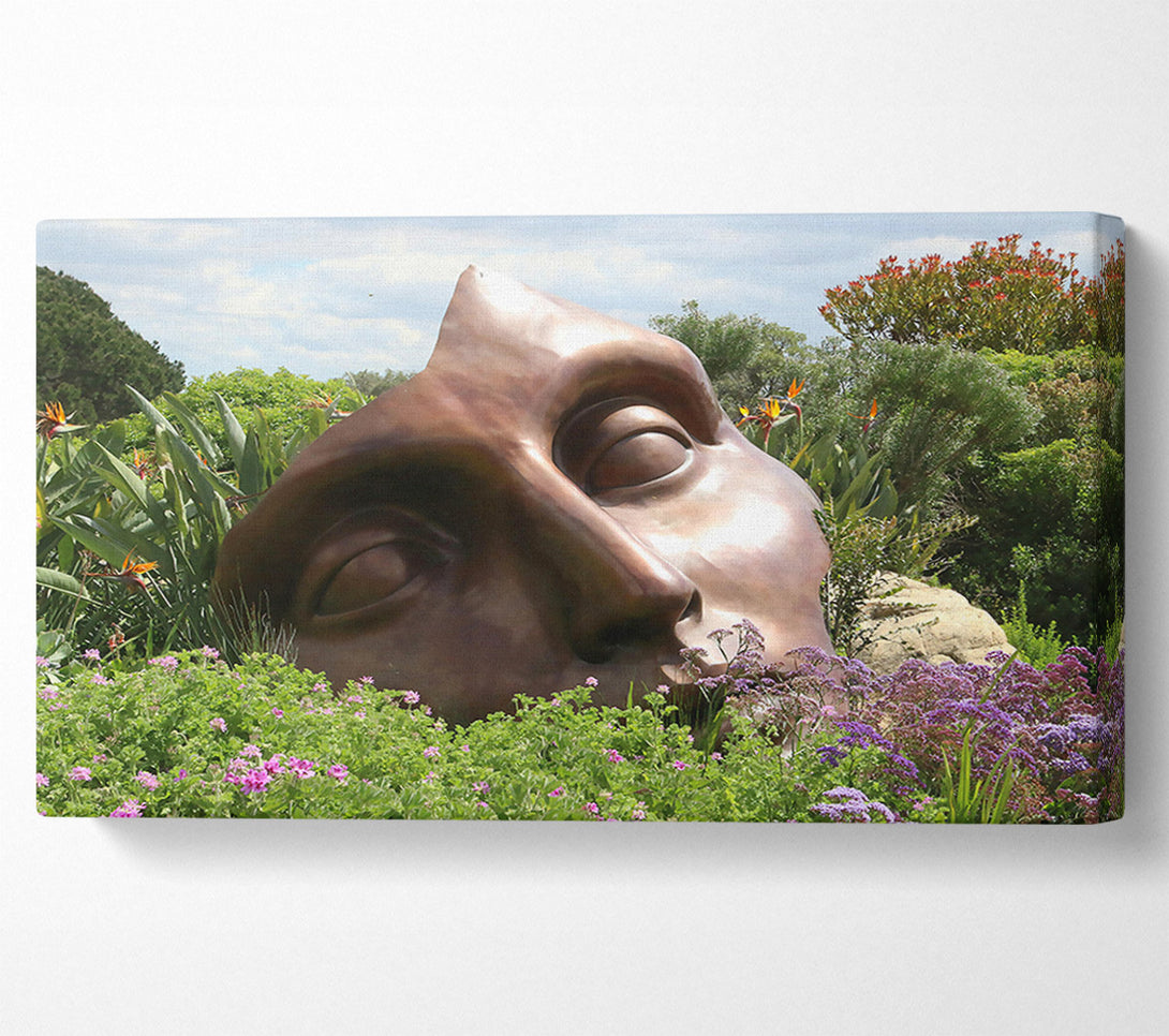  A Canvas Print of Bronze Dream Face Canvas Art