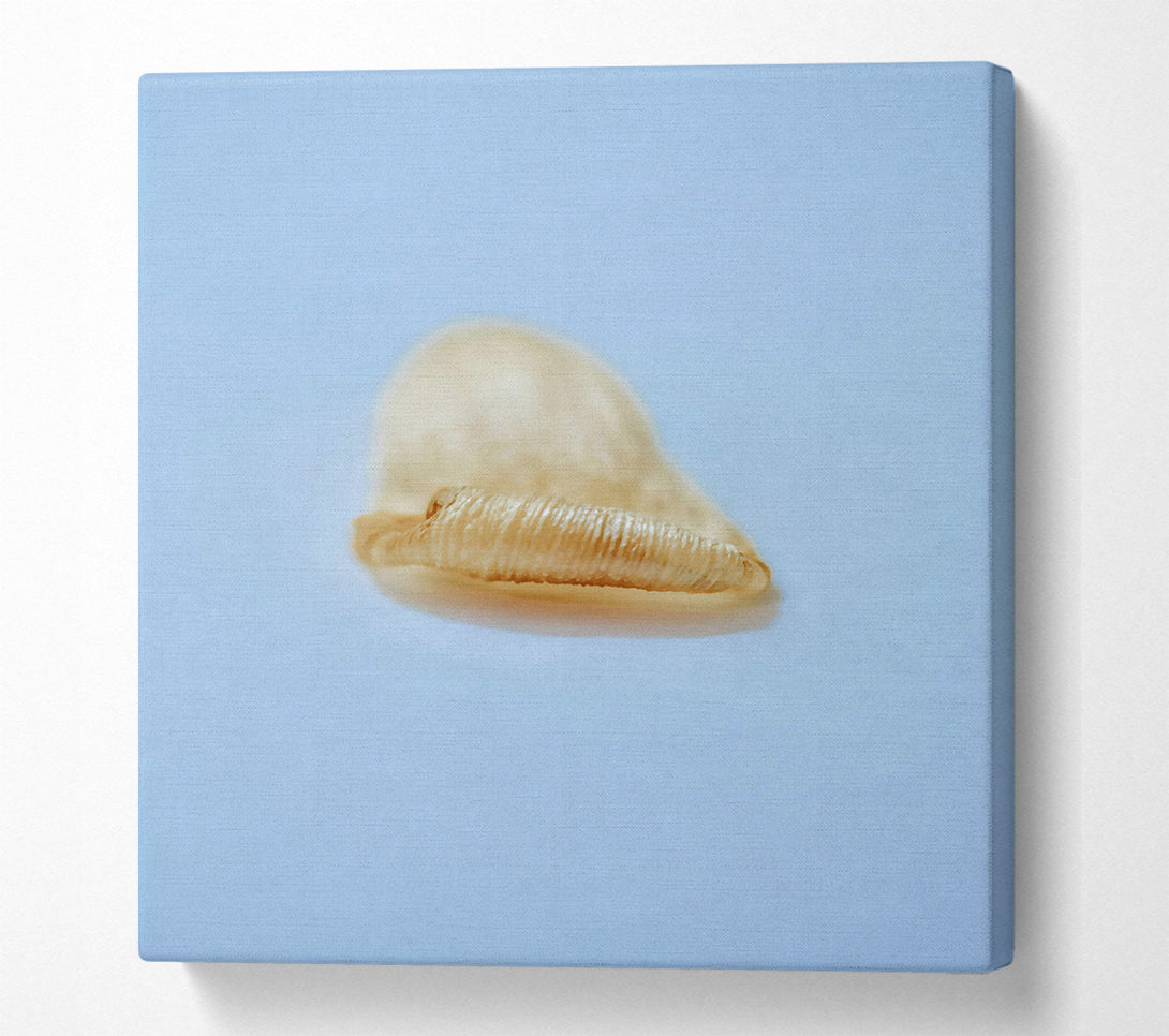  A Canvas Print of Golden Shell Curl Canvas Wall Art