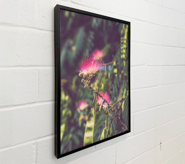 Pink Bloom In The Green