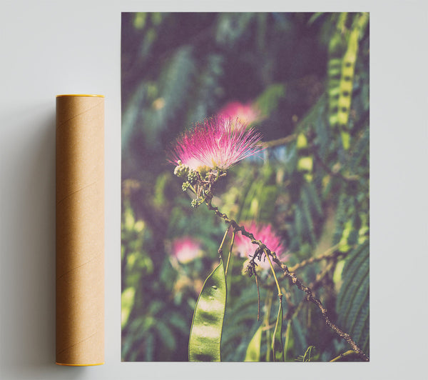 Pink Bloom In The Green Giclee Print