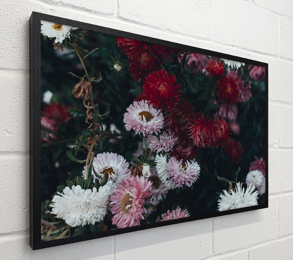 Crimson Floral Bloom
