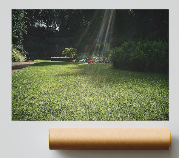 Emerald Sunbeams Giclee Print