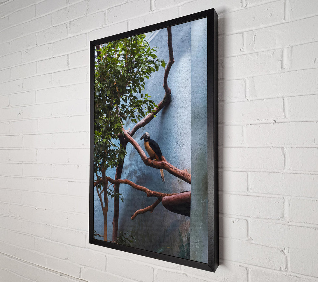  A Canvas Print of Blue Avian Perch Canvas Art