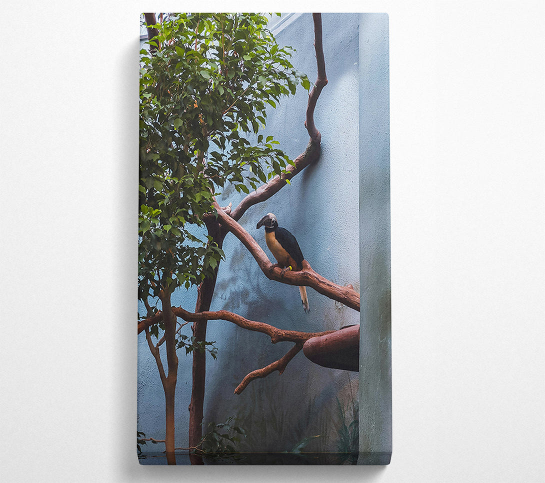  A Canvas Print of Blue Avian Perch Canvas Art
