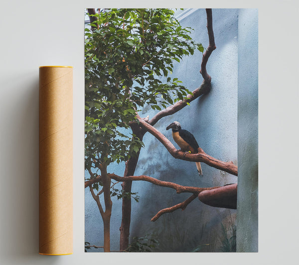 Blue Avian Perch Print