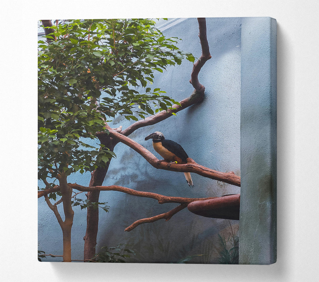  A Canvas Print of Blue Avian Perch Canvas Art