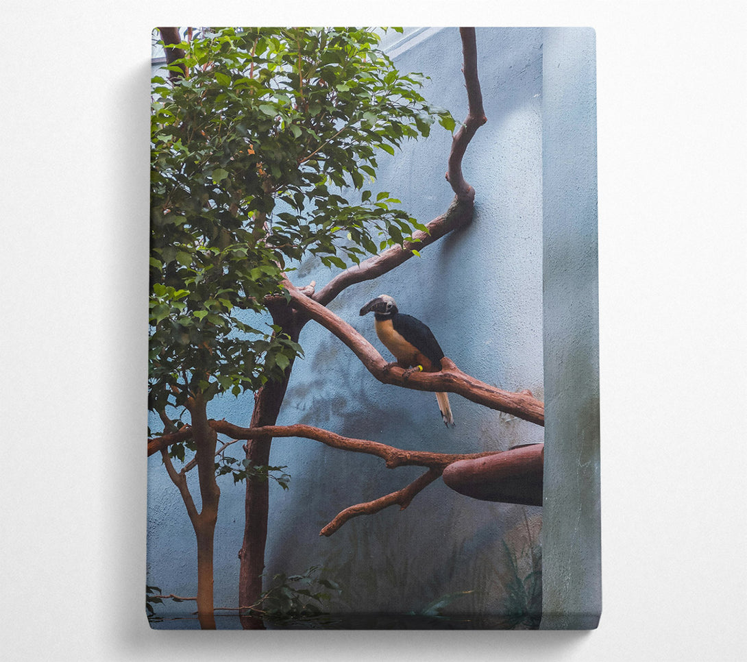  A Canvas Print of Blue Avian Perch Canvas Art