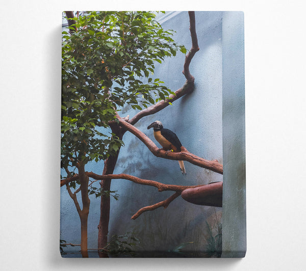  A Canvas Print of Blue Avian Perch Canvas Art