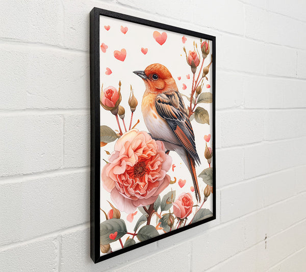 Peachy Bird Love