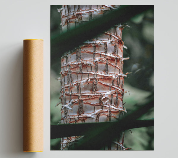 Rust-Colored Palm Bark Print