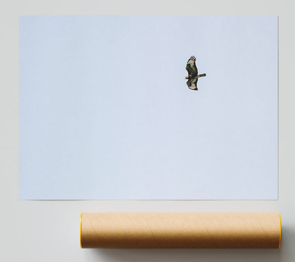 Pale Blue Soaring Print
