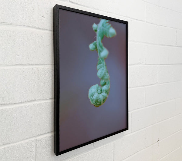Mint Green Unfurling Fern
